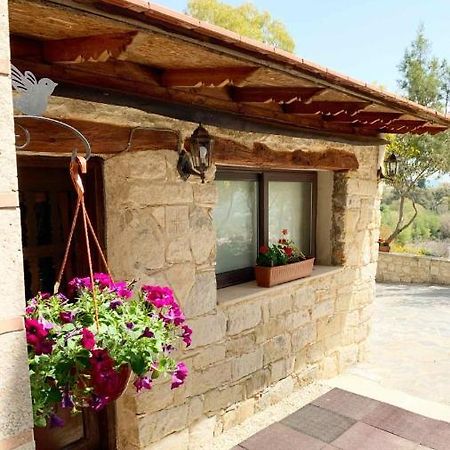 Cosmema House 2 Studio With Great Mountain View Stroumbi Dış mekan fotoğraf