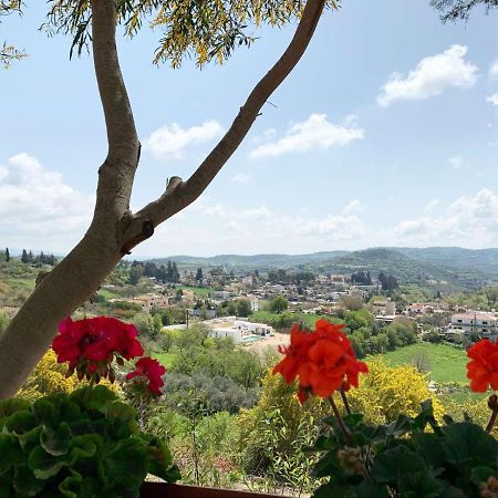 Cosmema House 2 Studio With Great Mountain View Stroumbi Dış mekan fotoğraf
