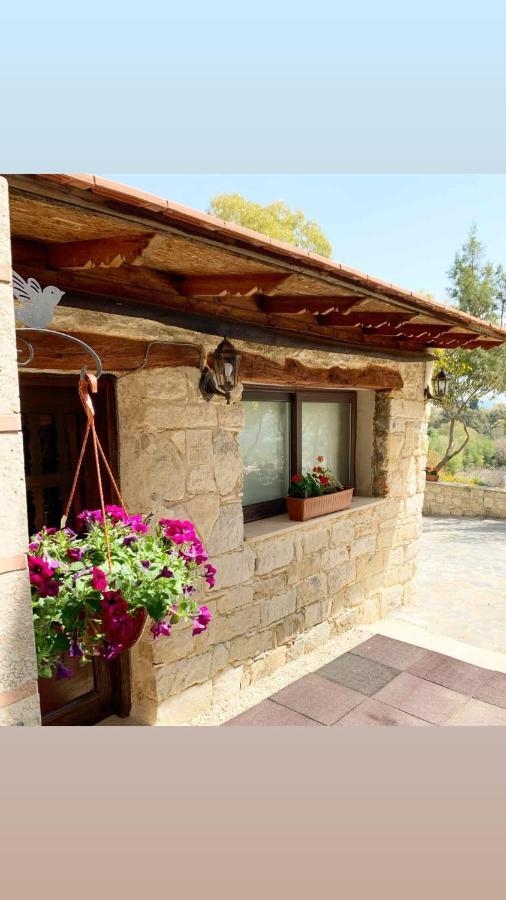 Cosmema House 2 Studio With Great Mountain View Stroumbi Dış mekan fotoğraf