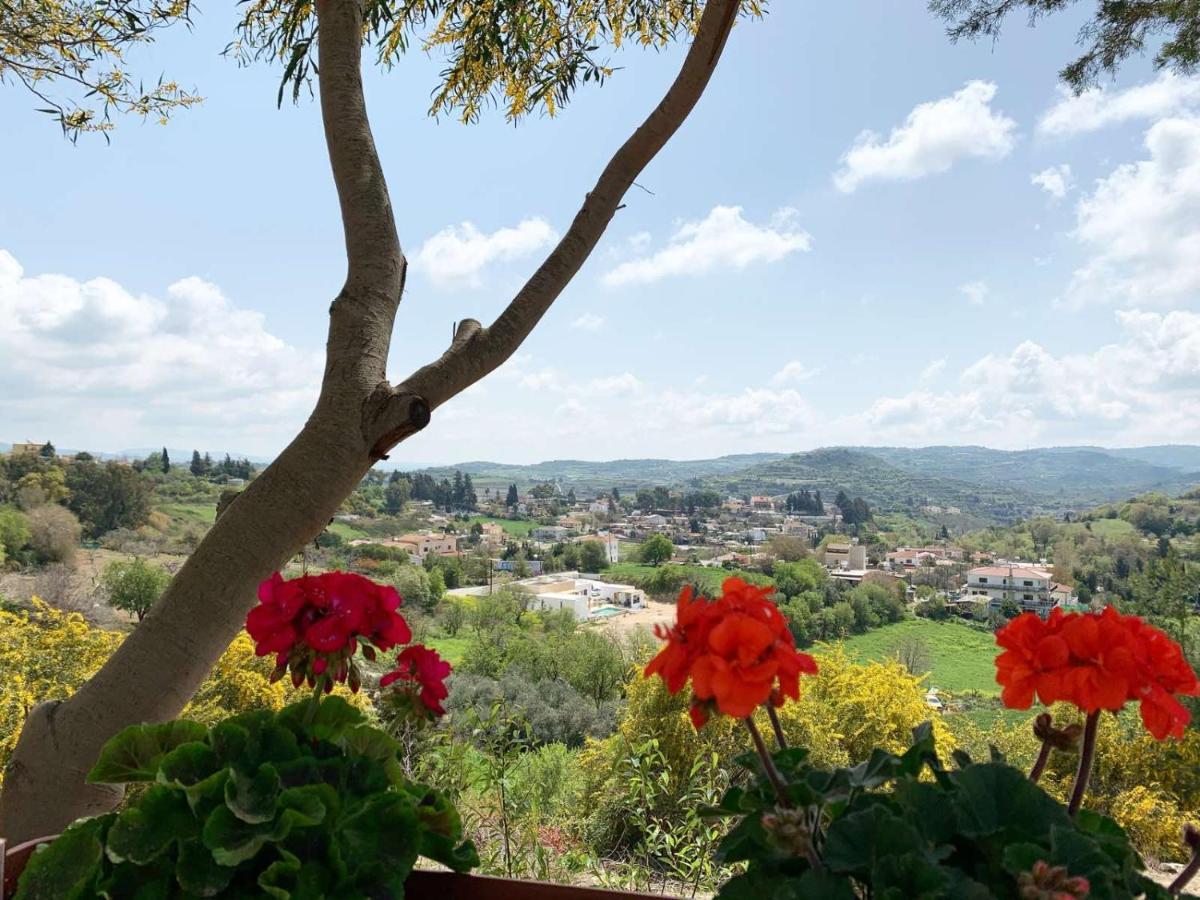 Cosmema House 2 Studio With Great Mountain View Stroumbi Dış mekan fotoğraf